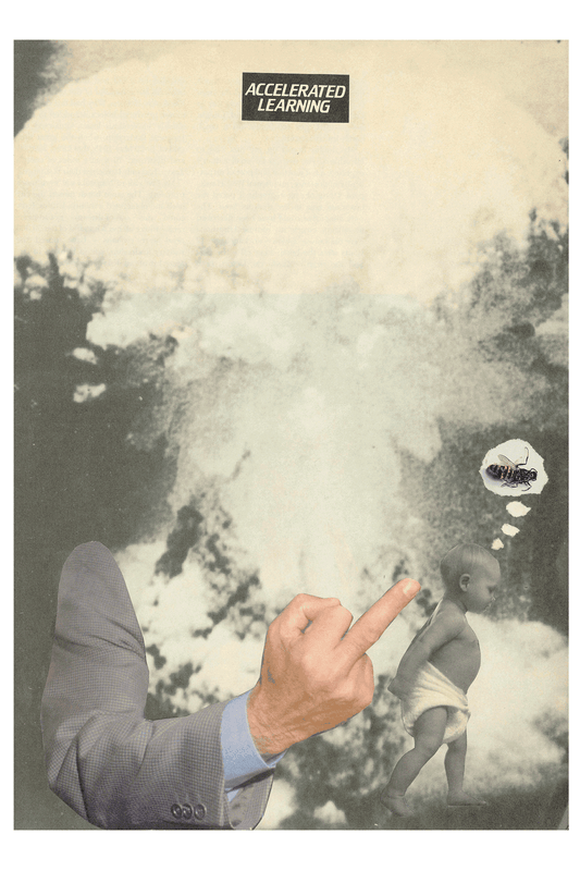 Dick Lucas "Accelerated Learning" Print (1993)