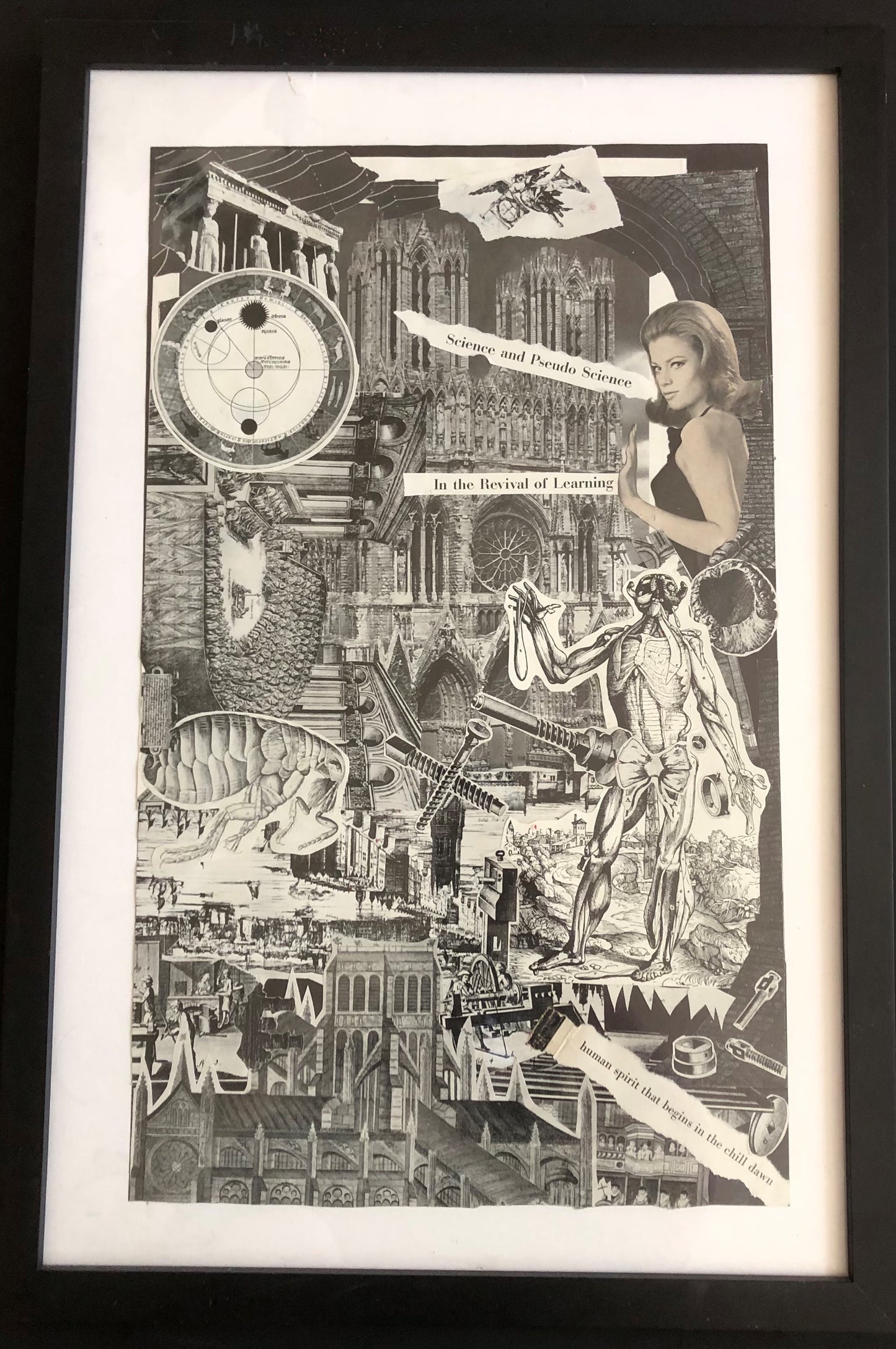 DNGRCT "Learned" (2020)