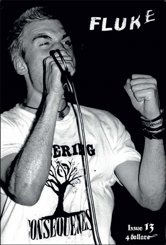 FLUKE #13 Zine