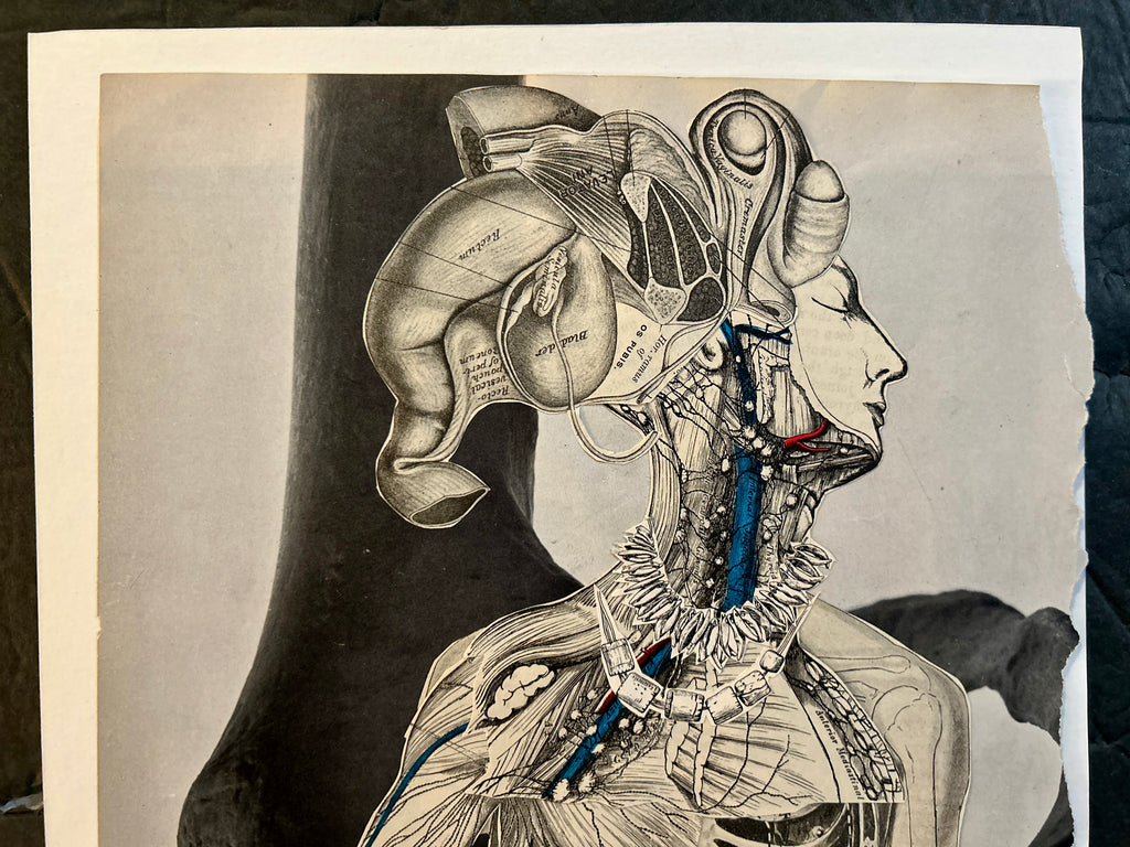 DNGRCT “Trophies” Original Collage