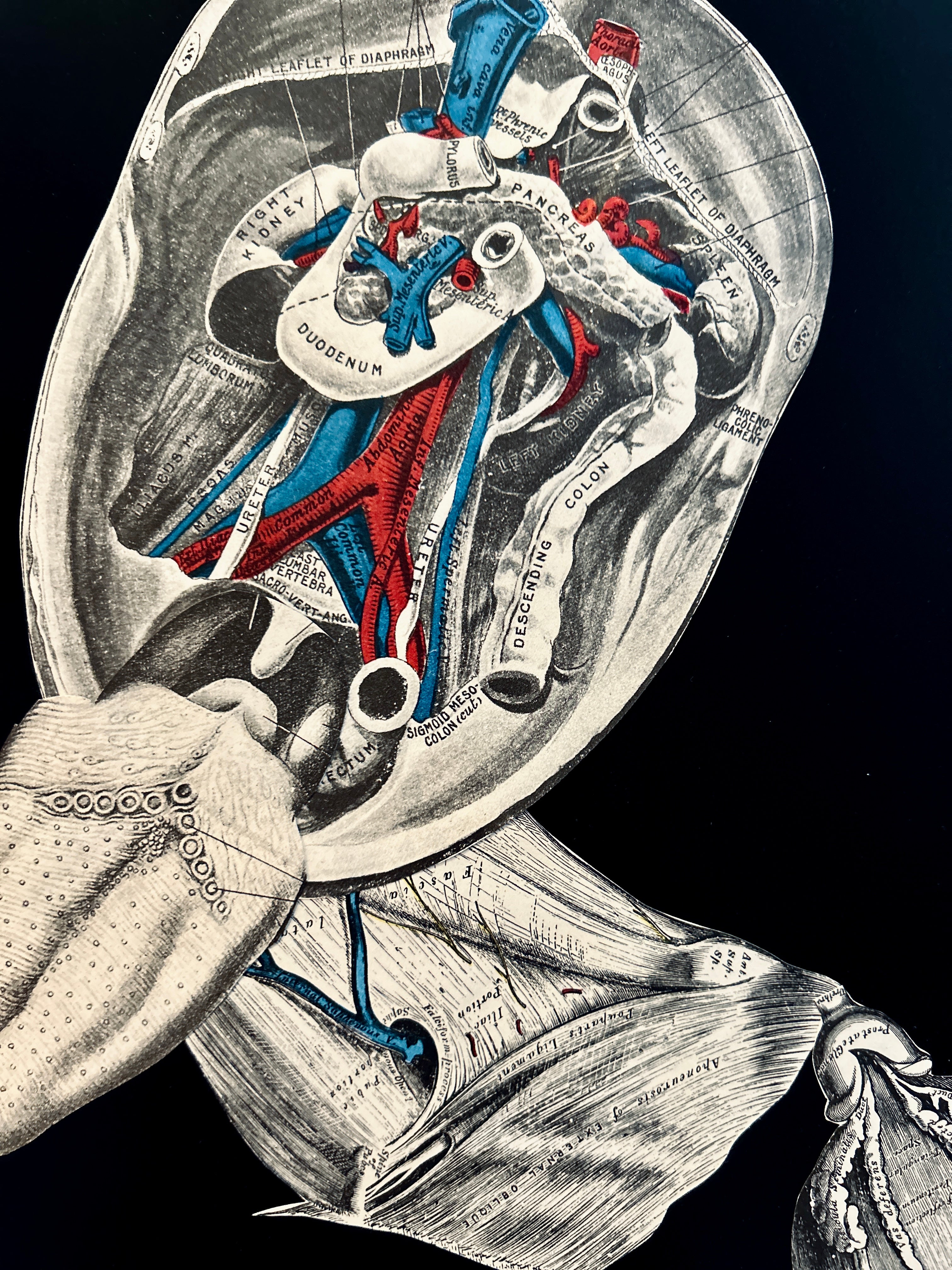 DNGRCT “Ball Gag” Original Collage