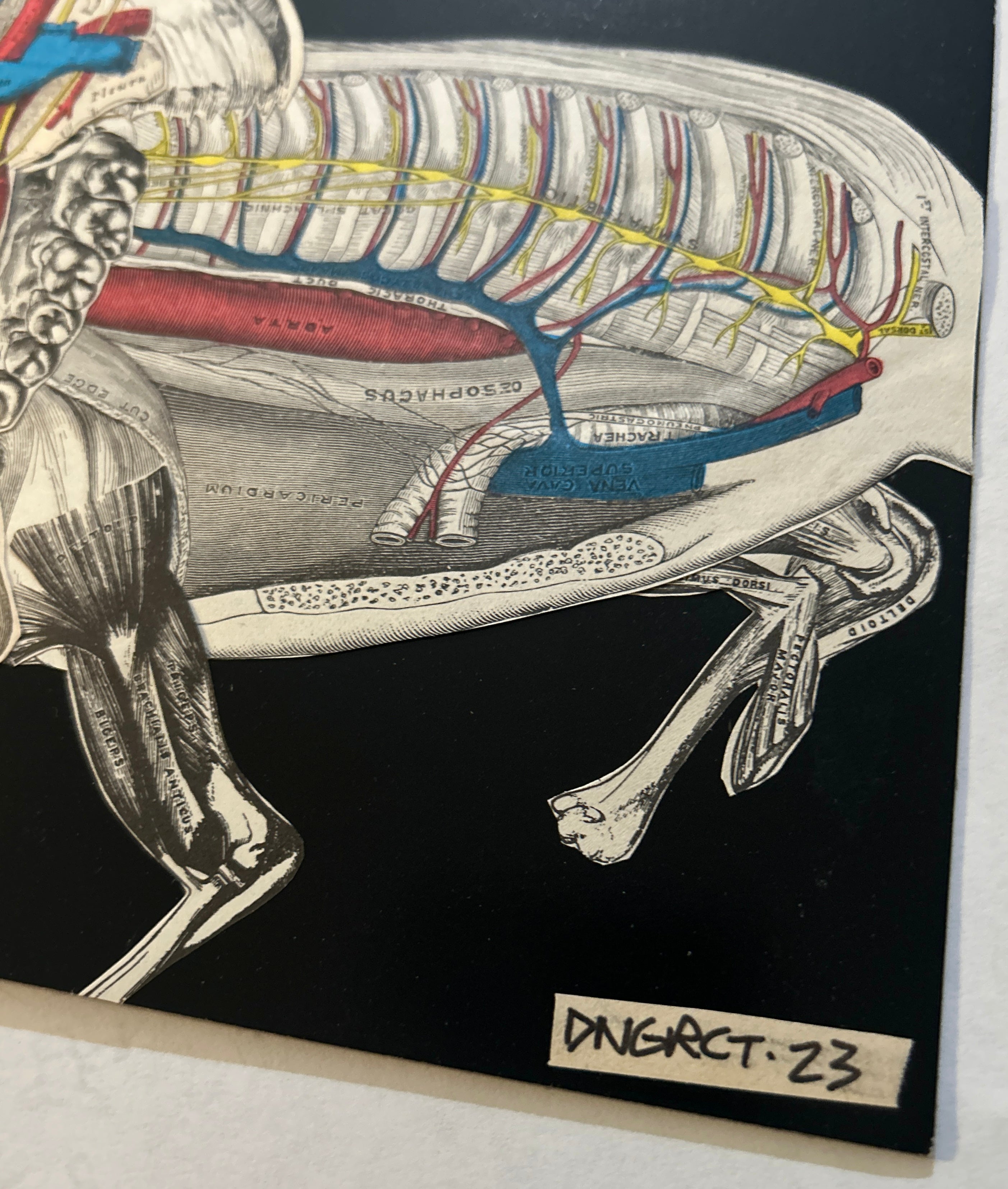 DNGRCT “Human Livestock” Original Collage