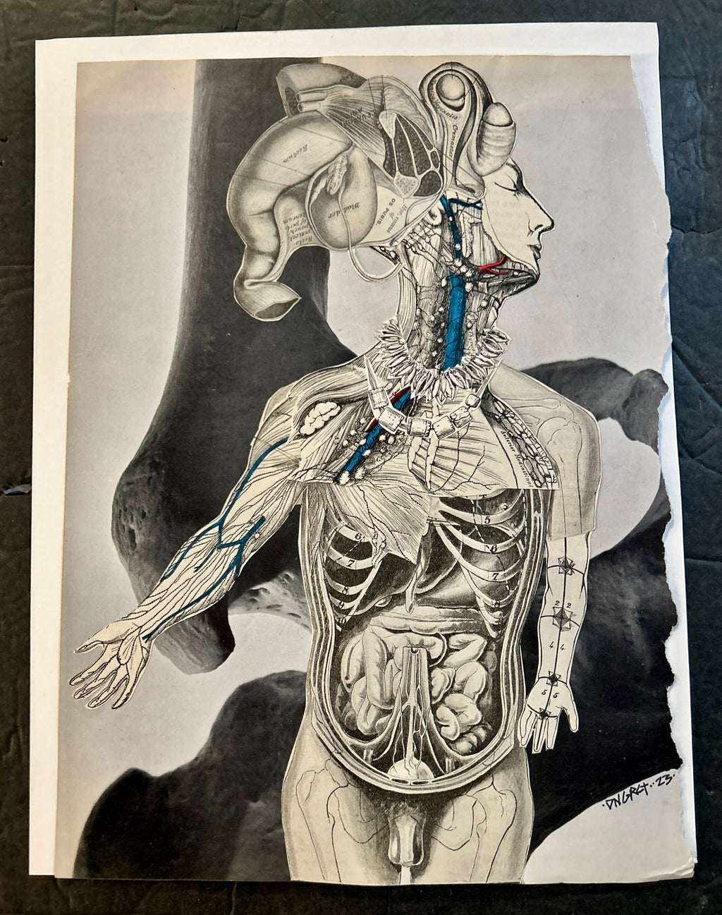 DNGRCT “Trophies” Original Collage