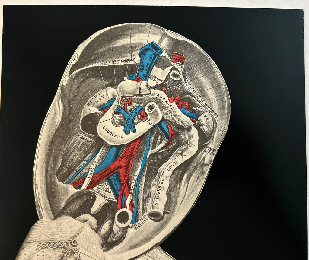 DNGRCT “Ball Gag” Original Collage