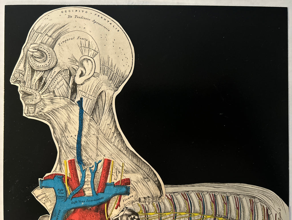 DNGRCT “Human Livestock” Original Collage