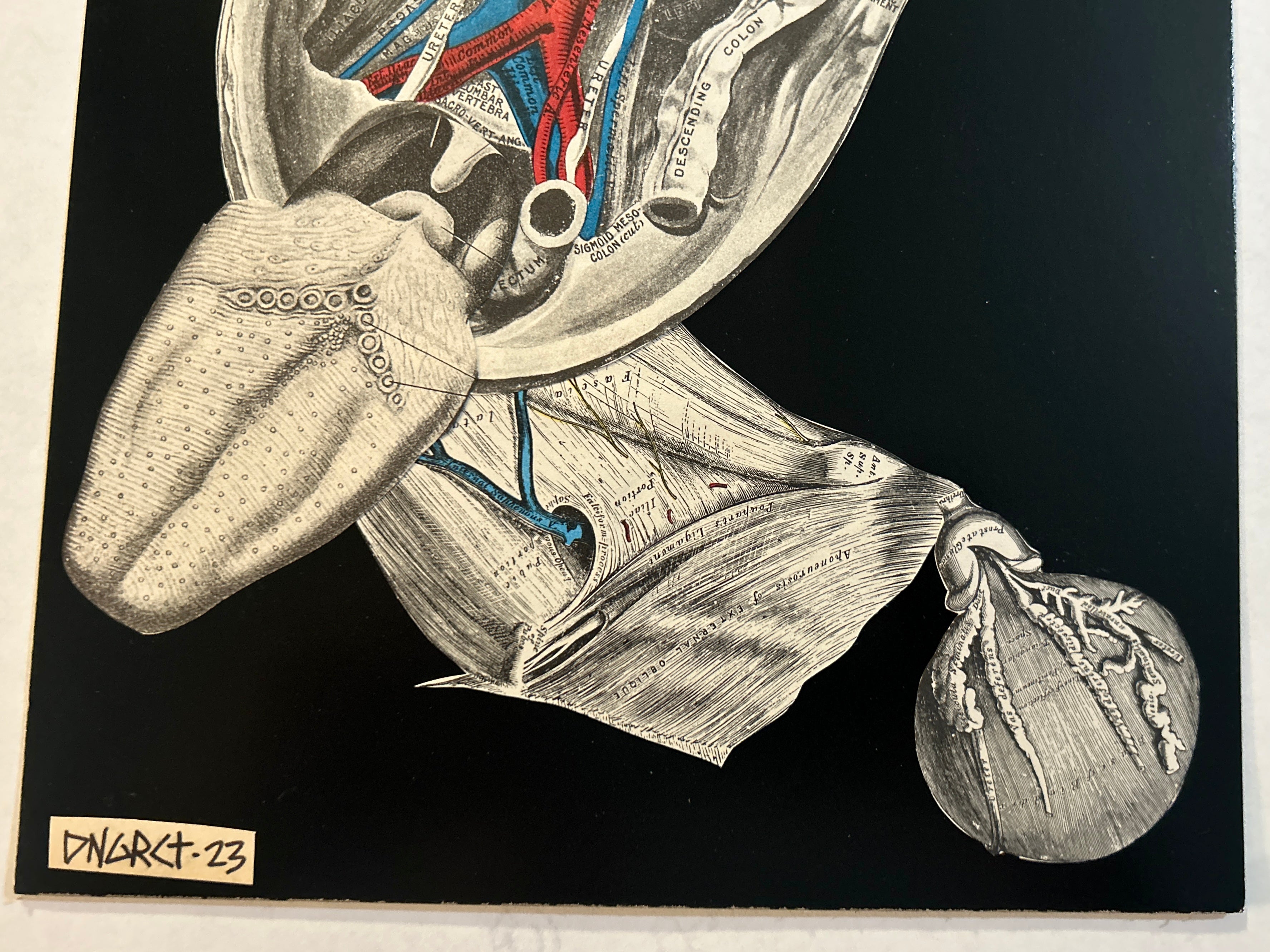 DNGRCT “Ball Gag” Original Collage