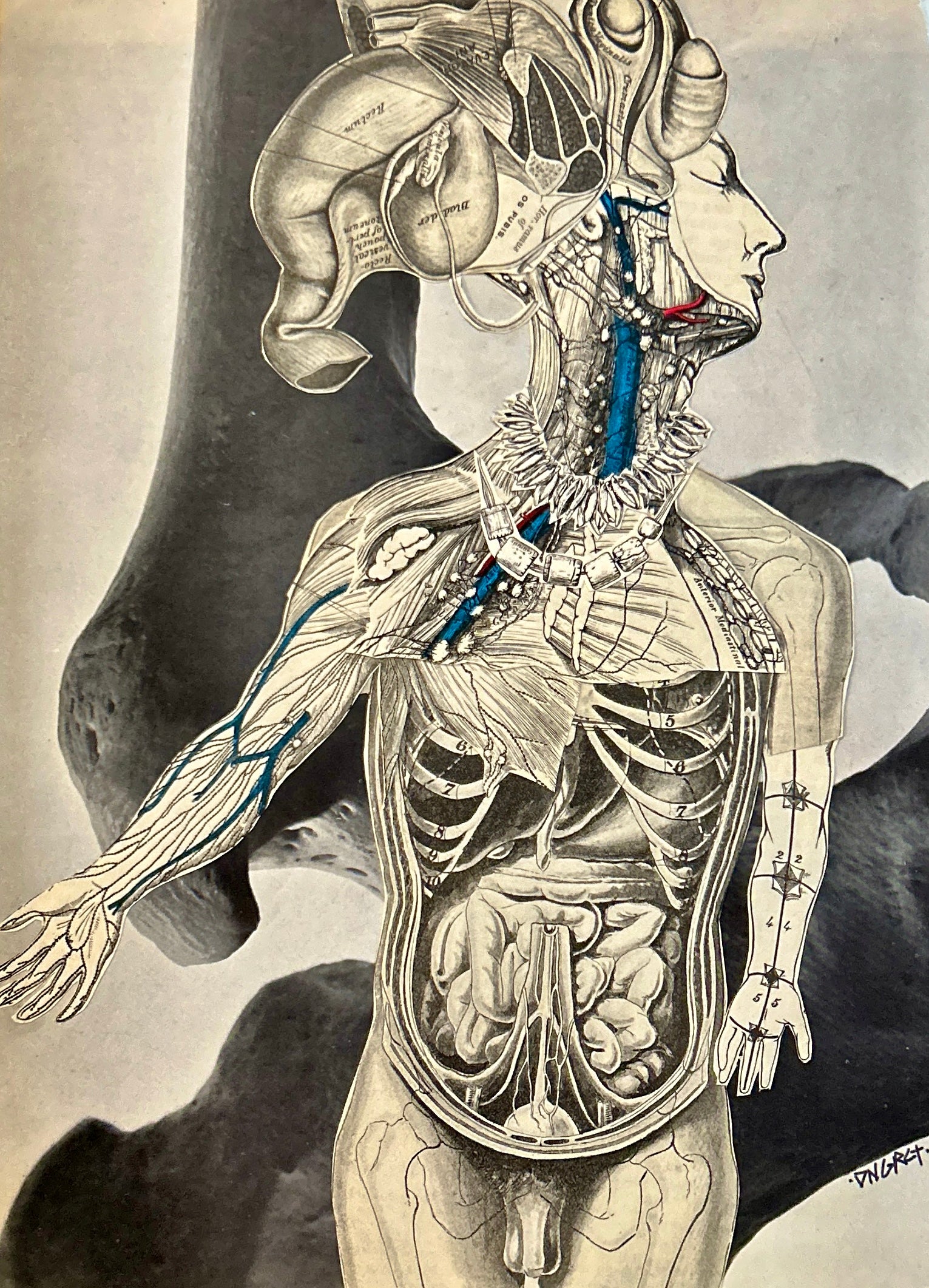 DNGRCT “Trophies” Original Collage