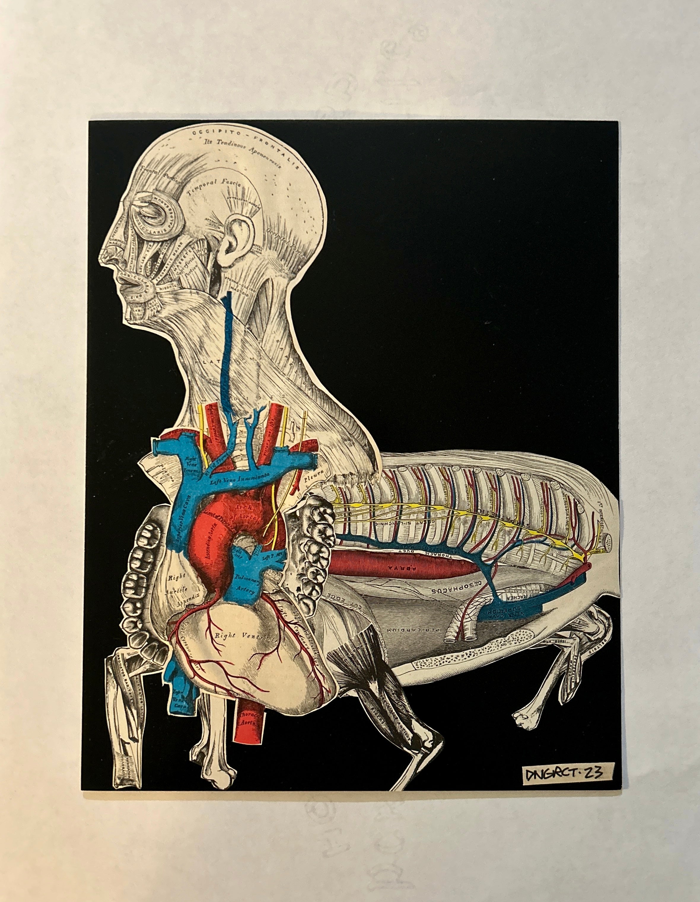 DNGRCT “Human Livestock” Original Collage