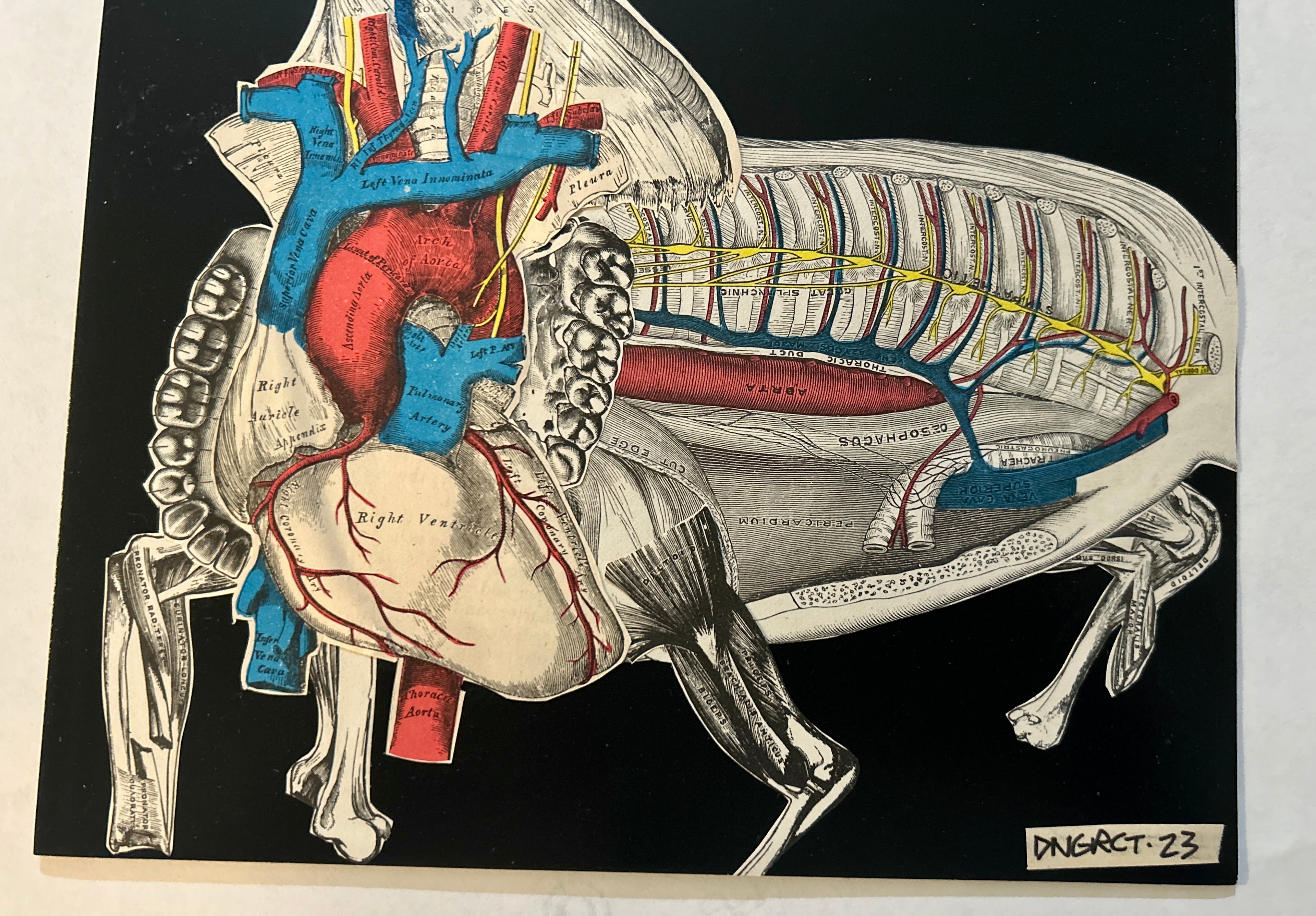 DNGRCT “Human Livestock” Original Collage