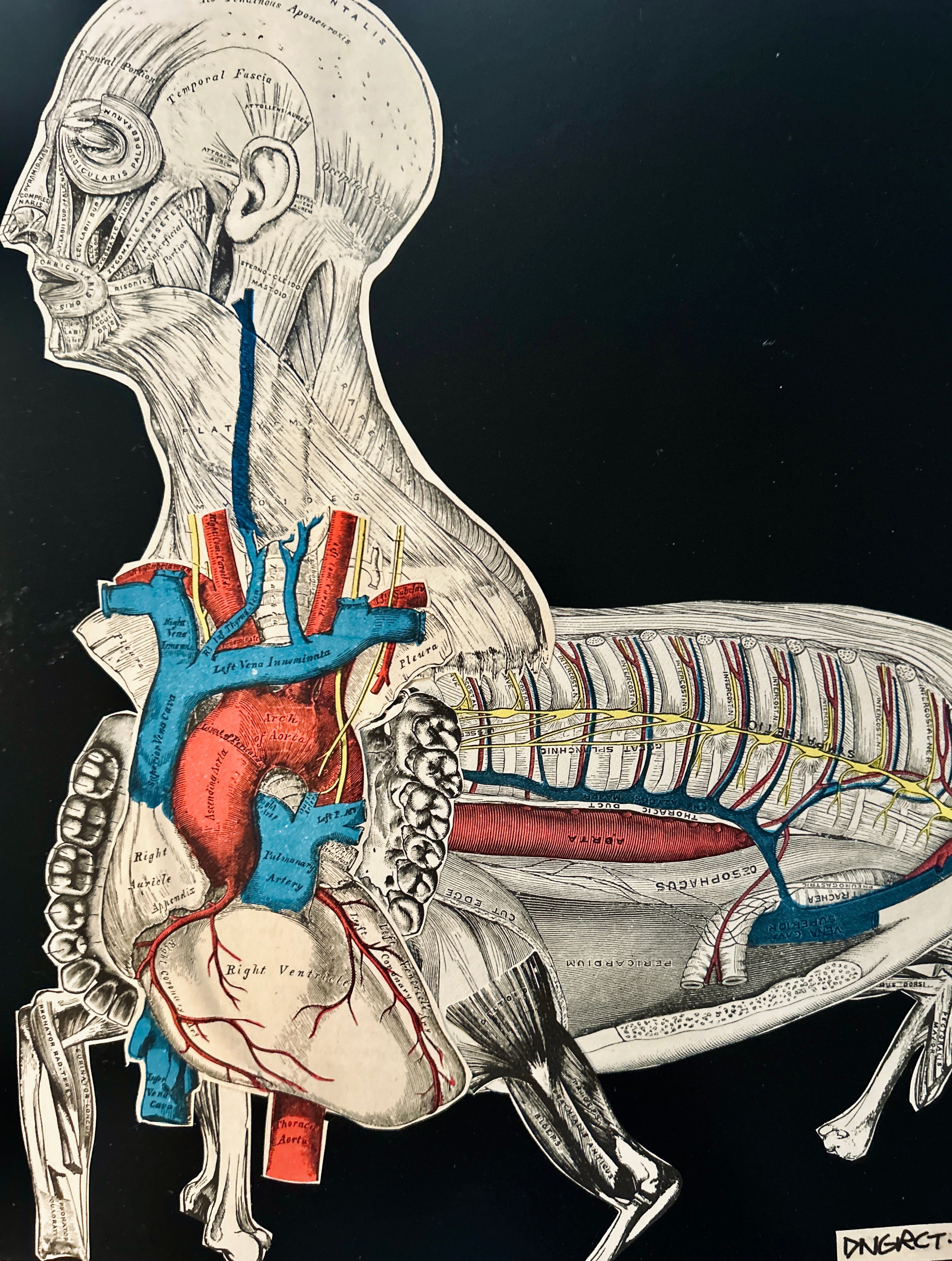 DNGRCT “Human Livestock” Original Collage