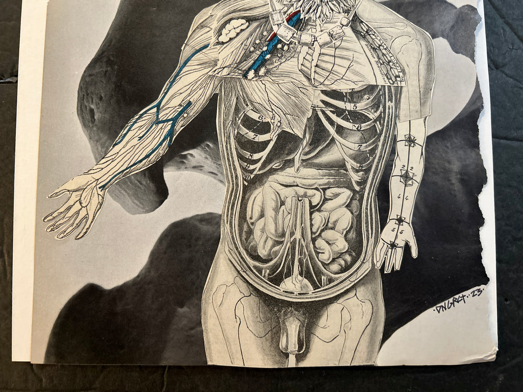 DNGRCT “Trophies” Original Collage