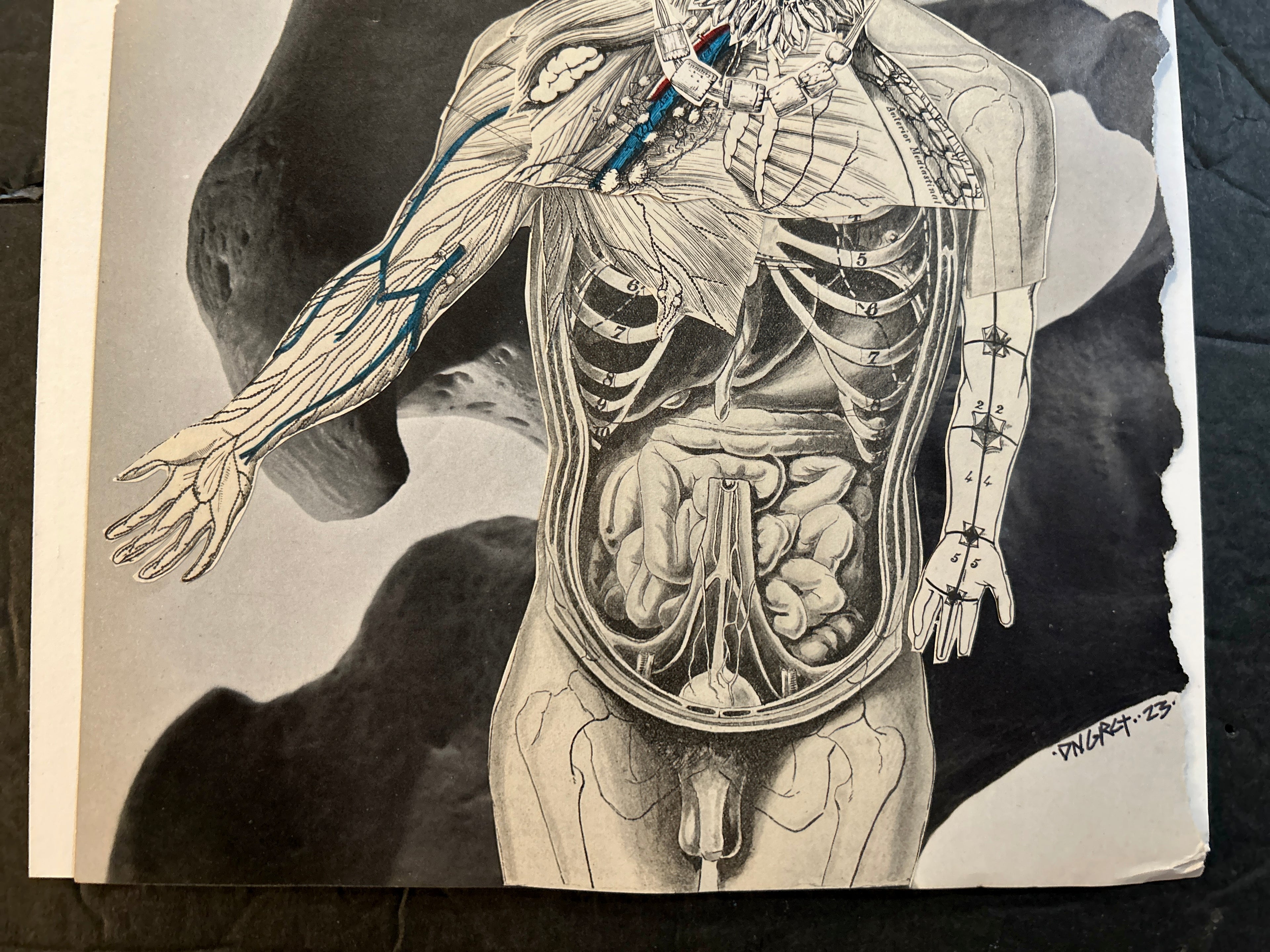 DNGRCT “Trophies” Original Collage