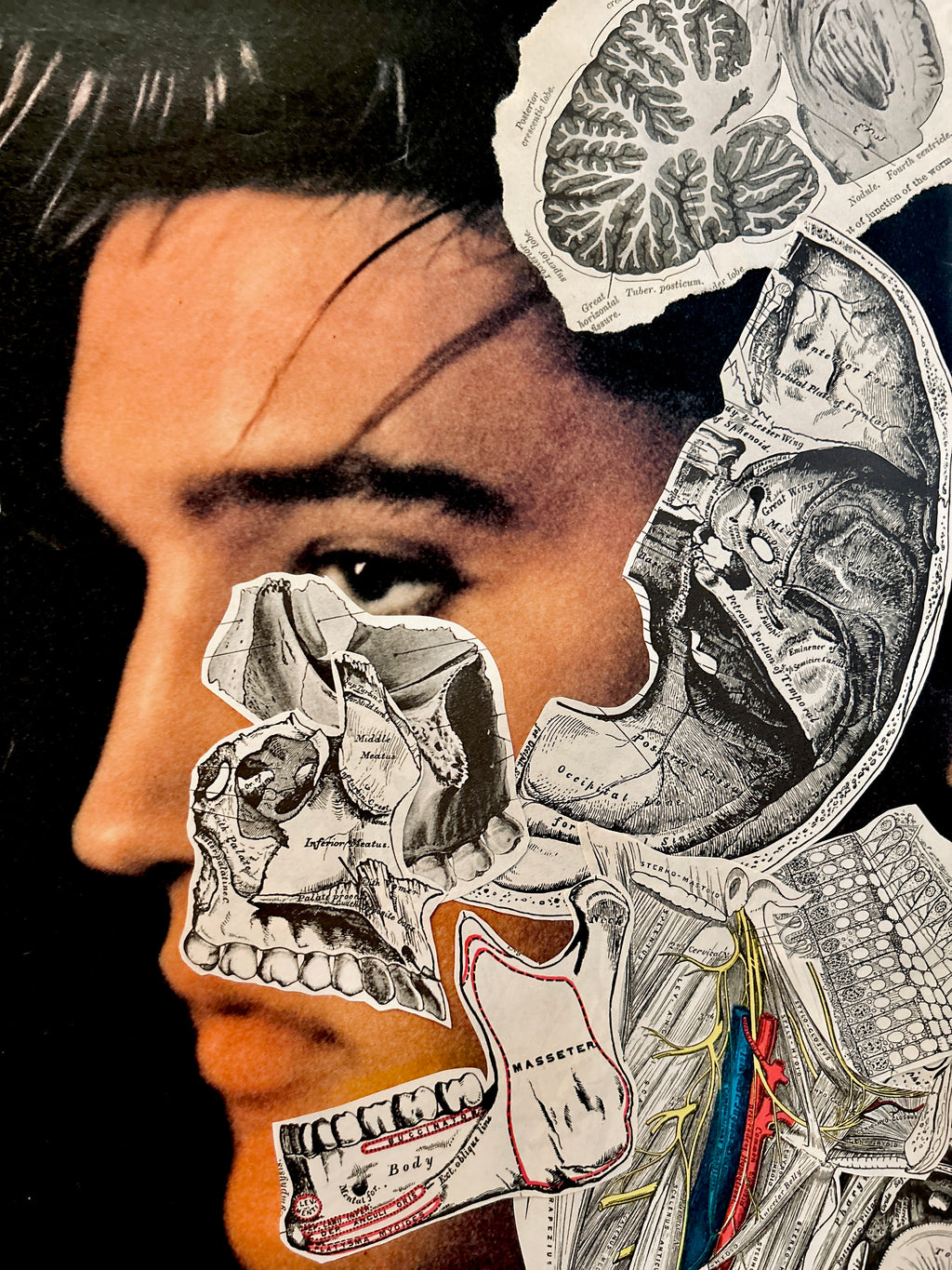 DNGRCT “Suspicious Mind” Original Collage
