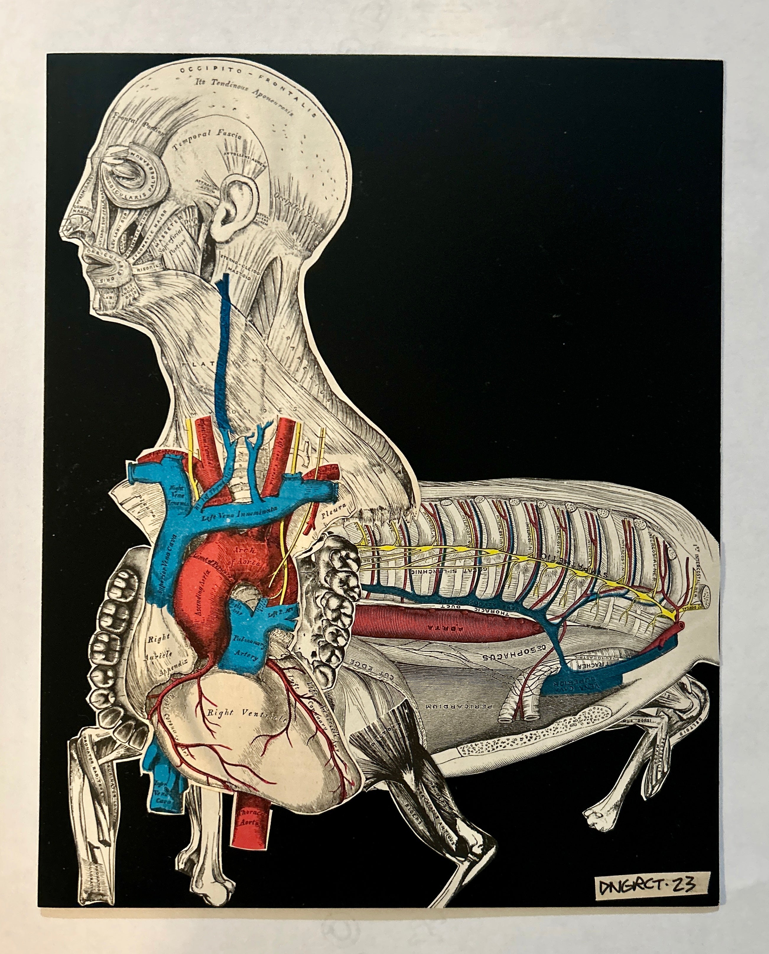 DNGRCT “Human Livestock” Original Collage