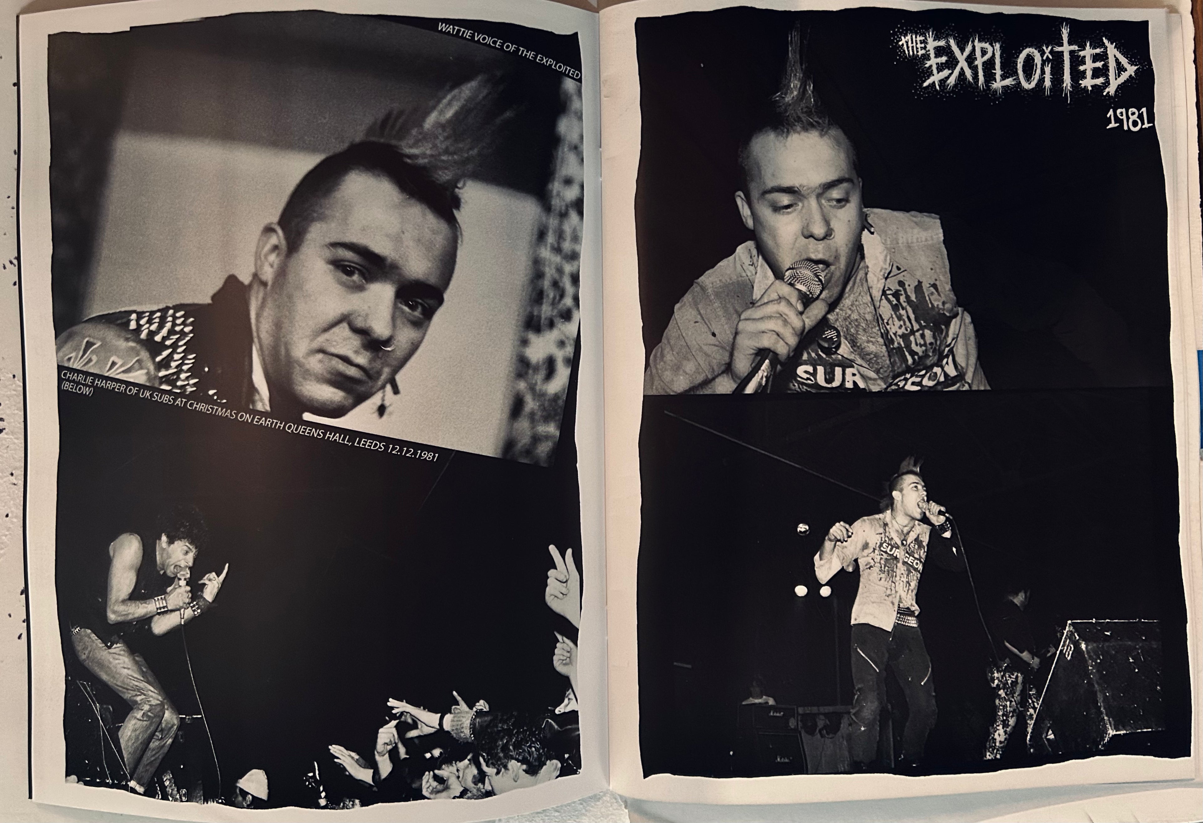 Steve Rapport “UK PUNK” Photozine