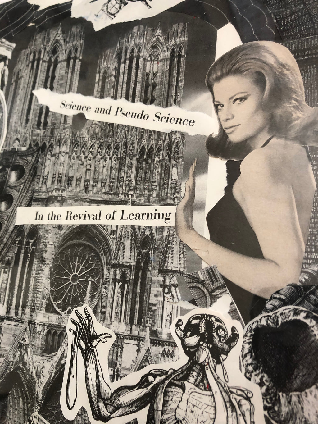 DNGRCT "Learned" (2020)