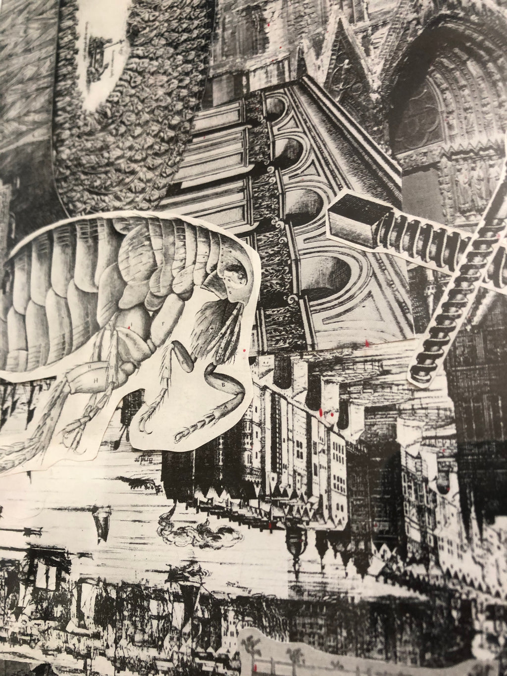 DNGRCT "Learned" (2020)