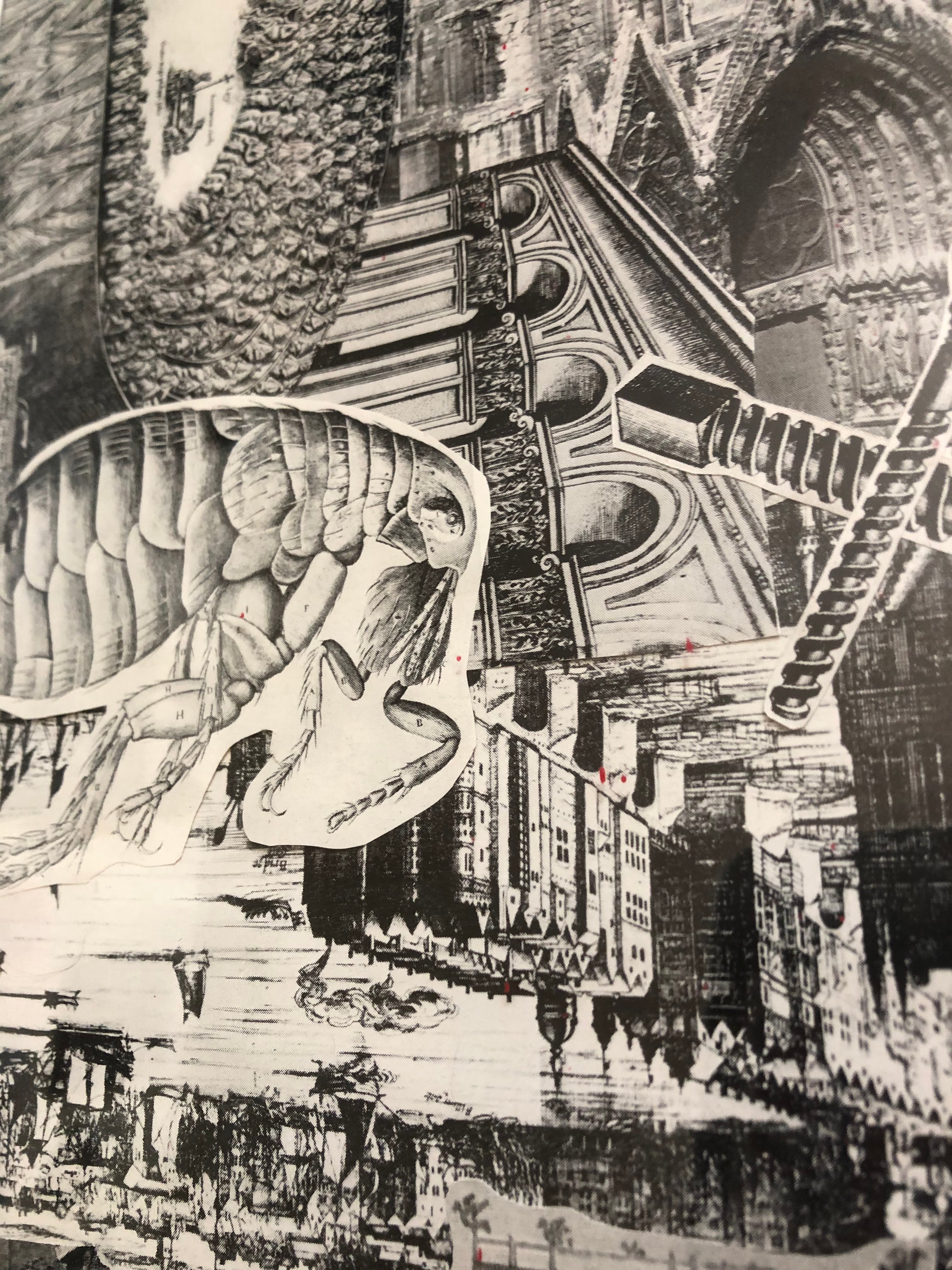 DNGRCT "Learned" (2020)