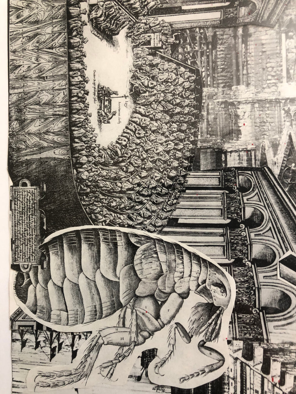 DNGRCT "Learned" (2020)