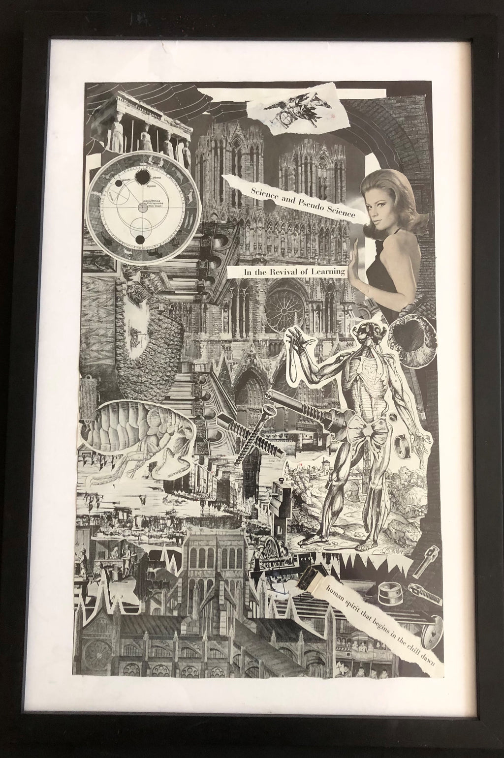 DNGRCT "Learned" (2020)