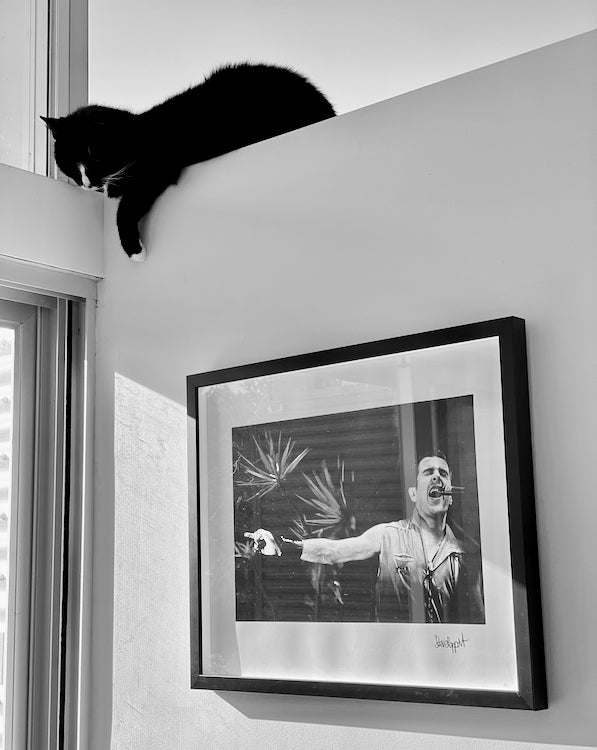 Steve Rapport "Joe Strummer of The Clash / The Lyceum #1" (1981)