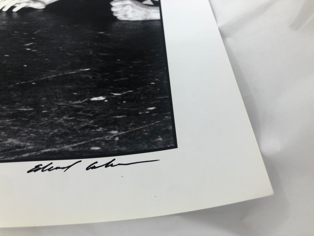 Edward Colver "Jello Biafra on Stage" (1983)