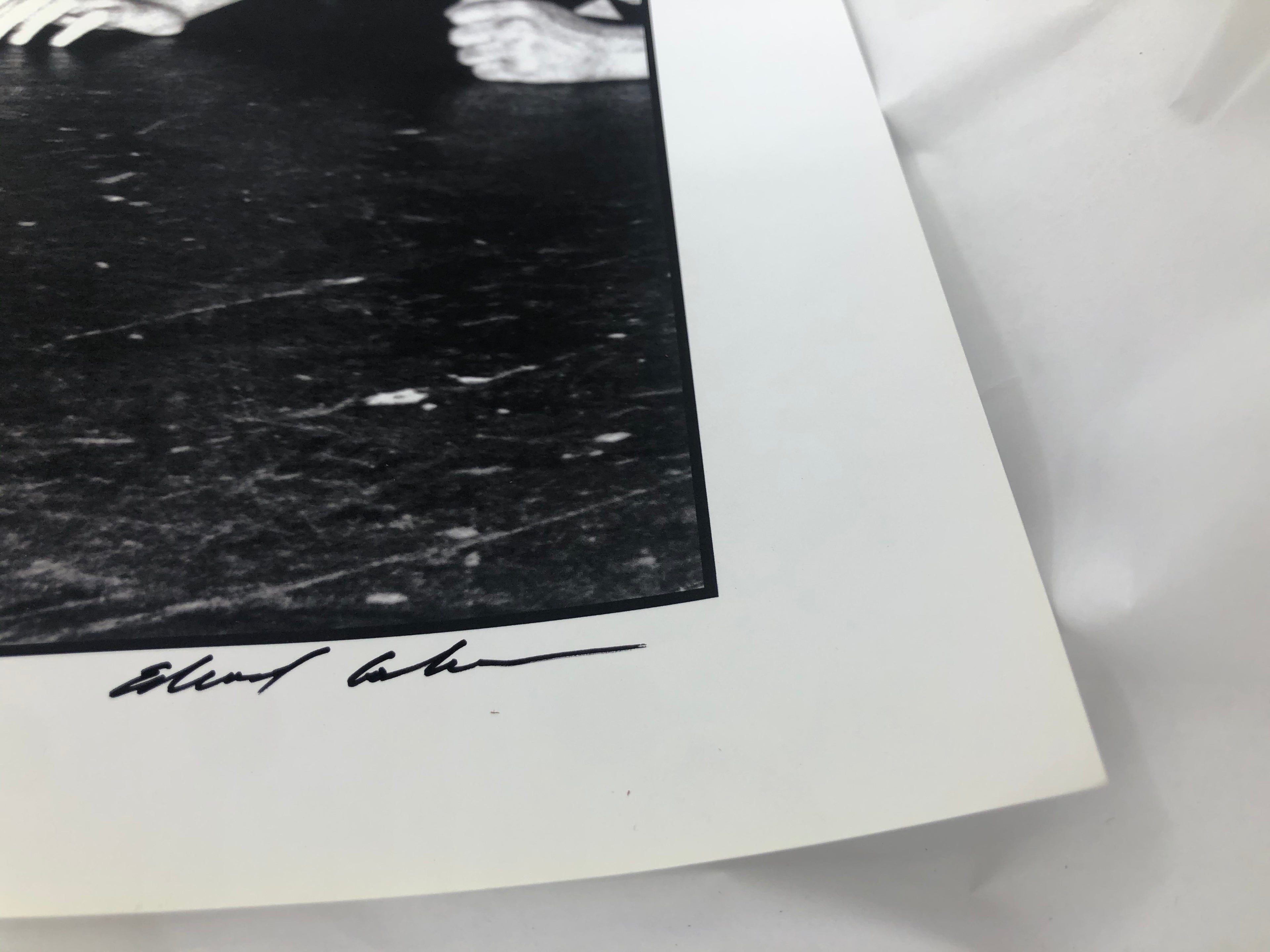 Edward Colver "Jello Biafra on Stage" (1983)