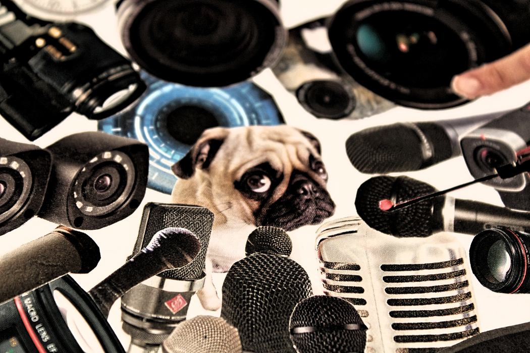 Sour Steve "Star of the Dog Show"" Print (2020)