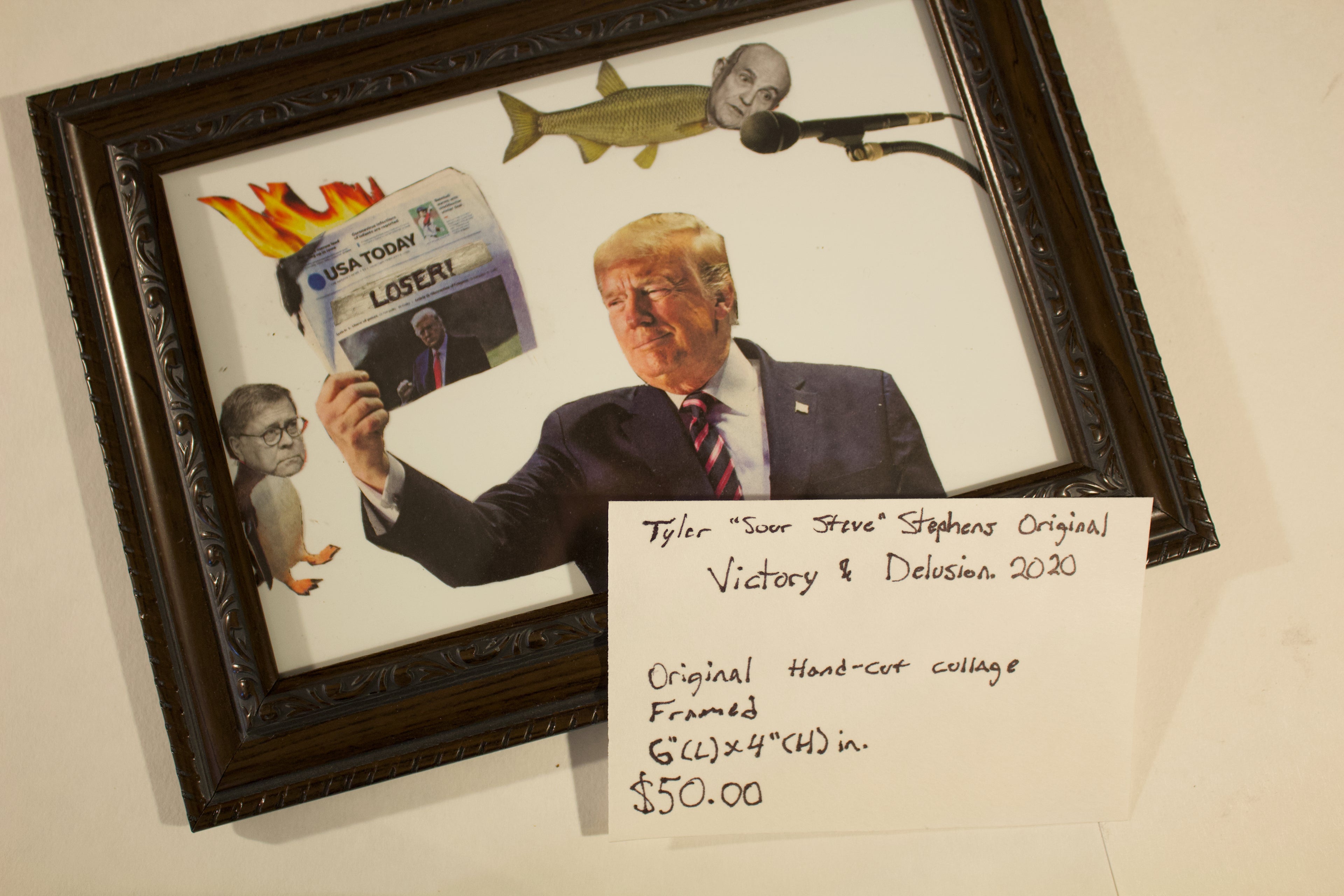 Sour Steve "Victory and Delusion" (2020)