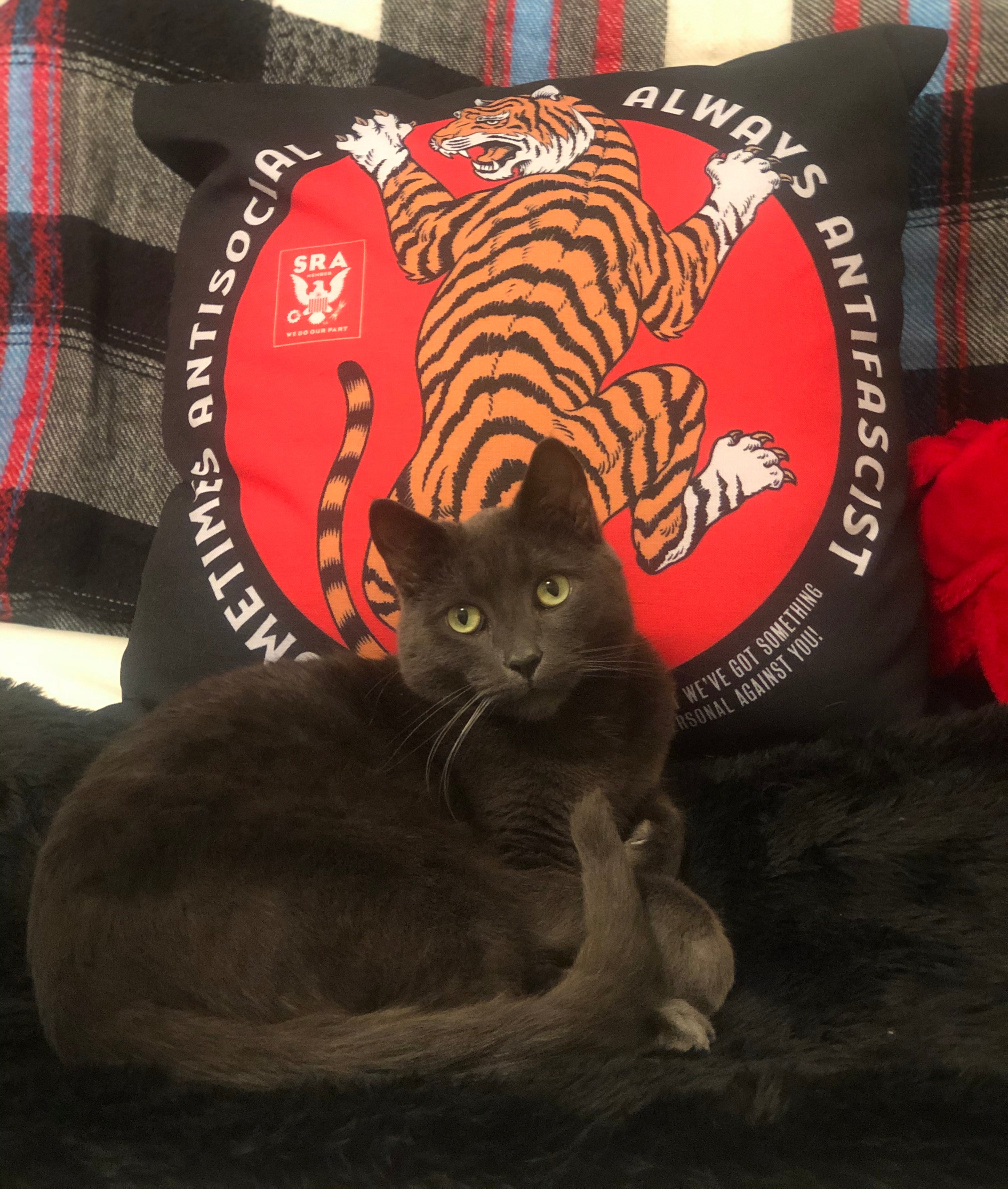 Stealworks "Climbing Tiger" Premium Pillow