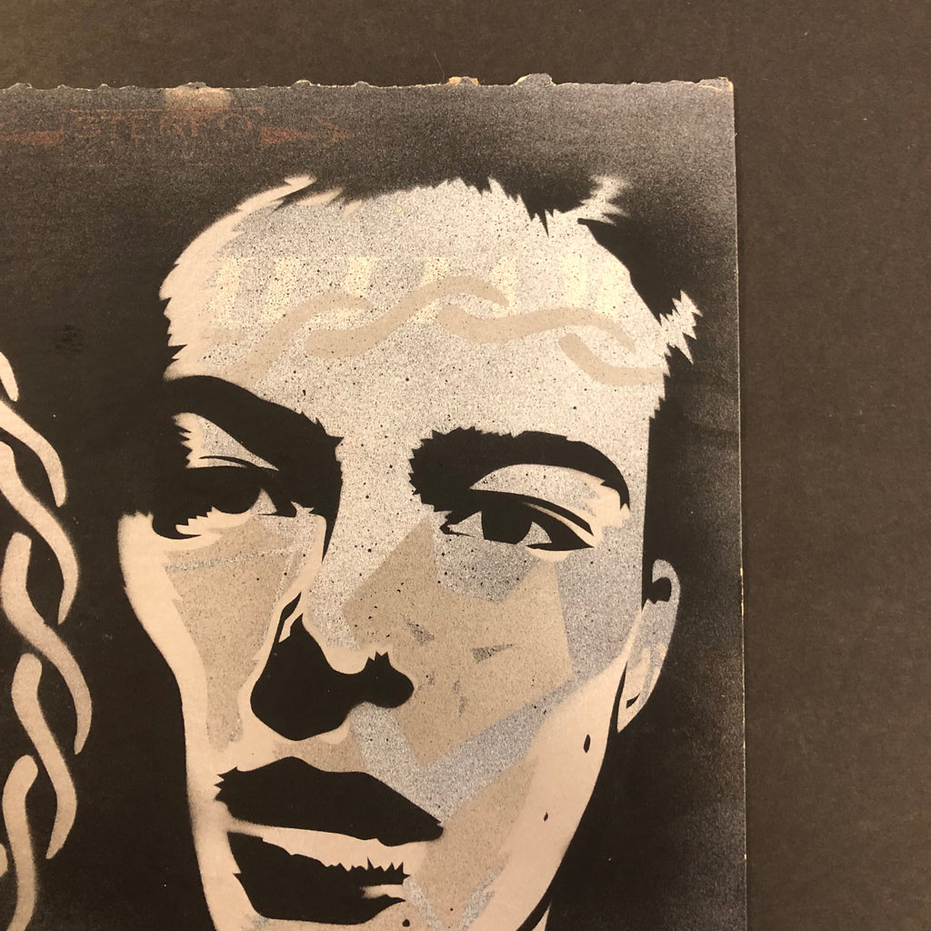 Craig Ibarra "Vote For Jello Biafra AT" (2013)