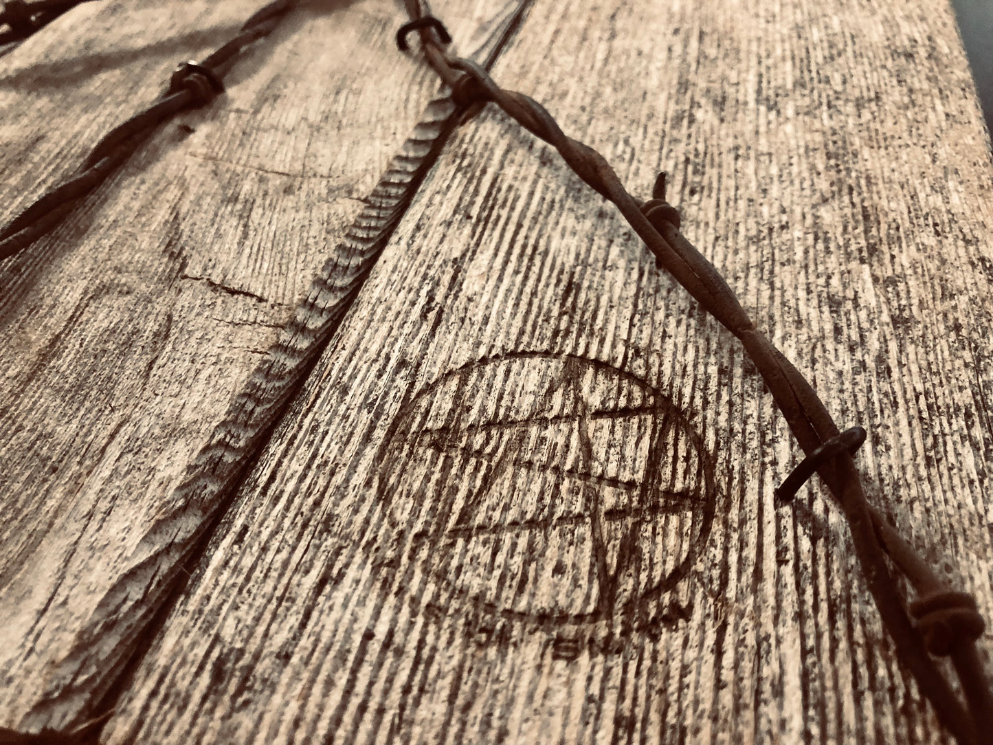 Winston Smith "DK" Barbwire on Wood