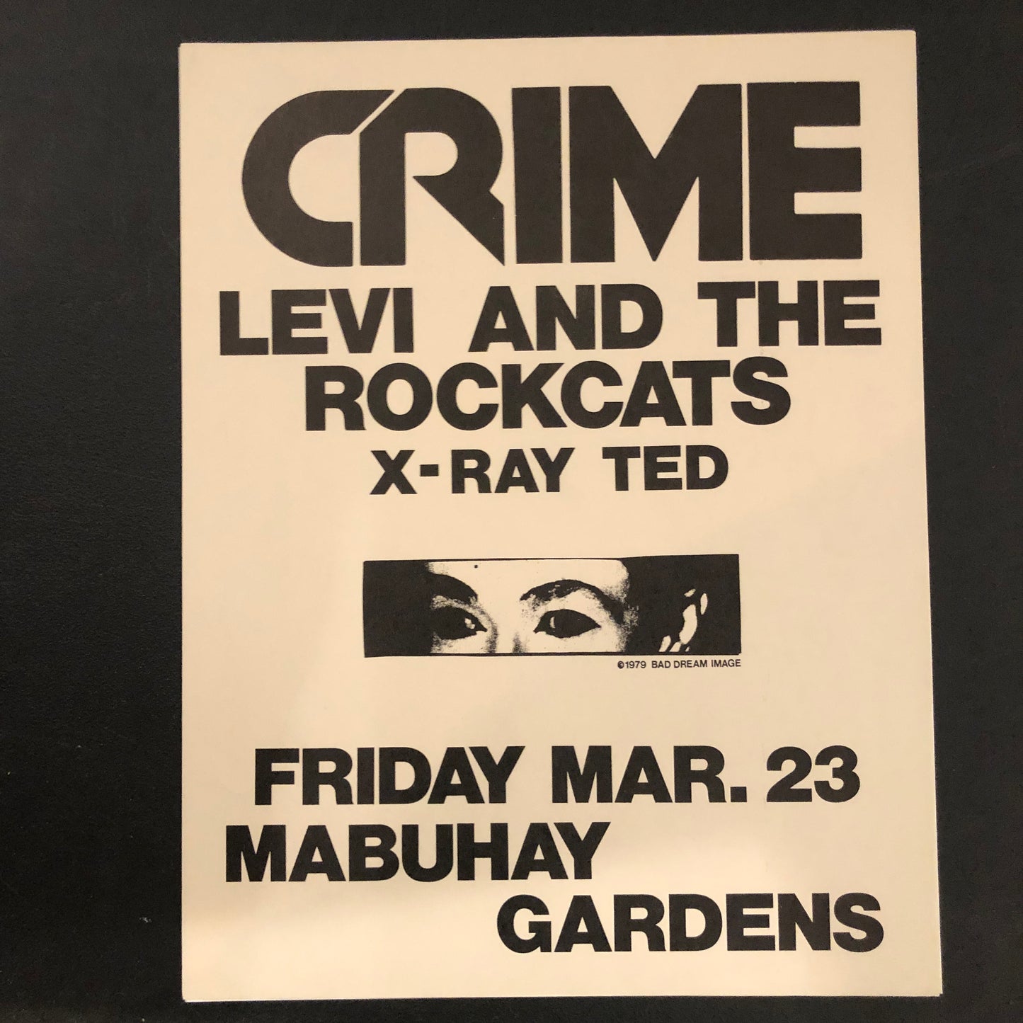 "Crime / Levi and the Rockcat" Original Flyer