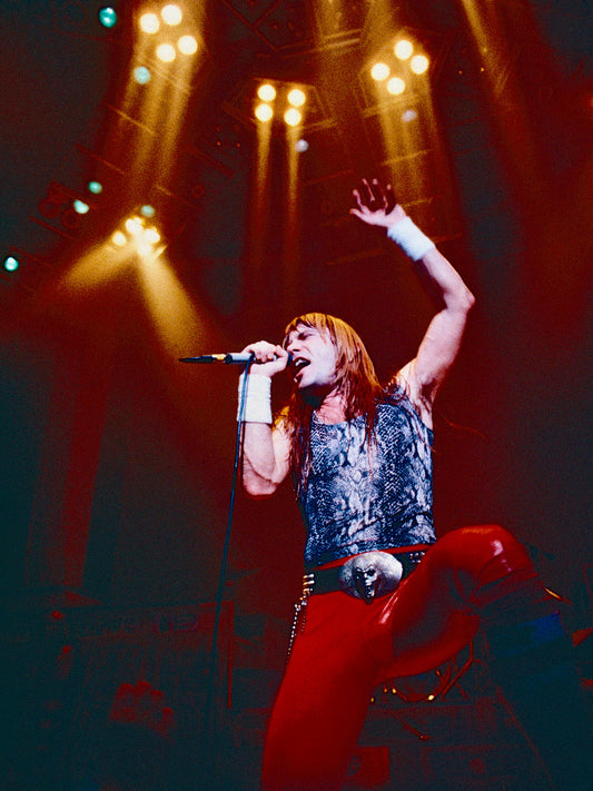 Steve Rapport "Bruce Dickinson of Iron Maiden / Live #1" (1984)
