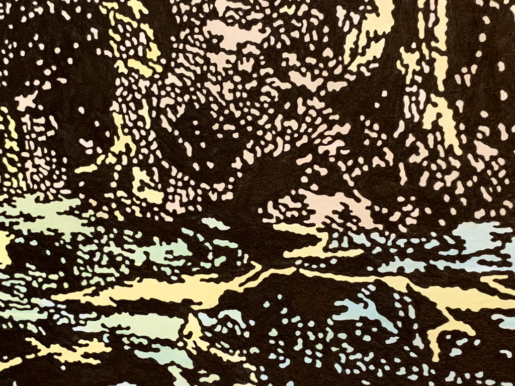 Murat Cem Mengüç "Cove" 2019