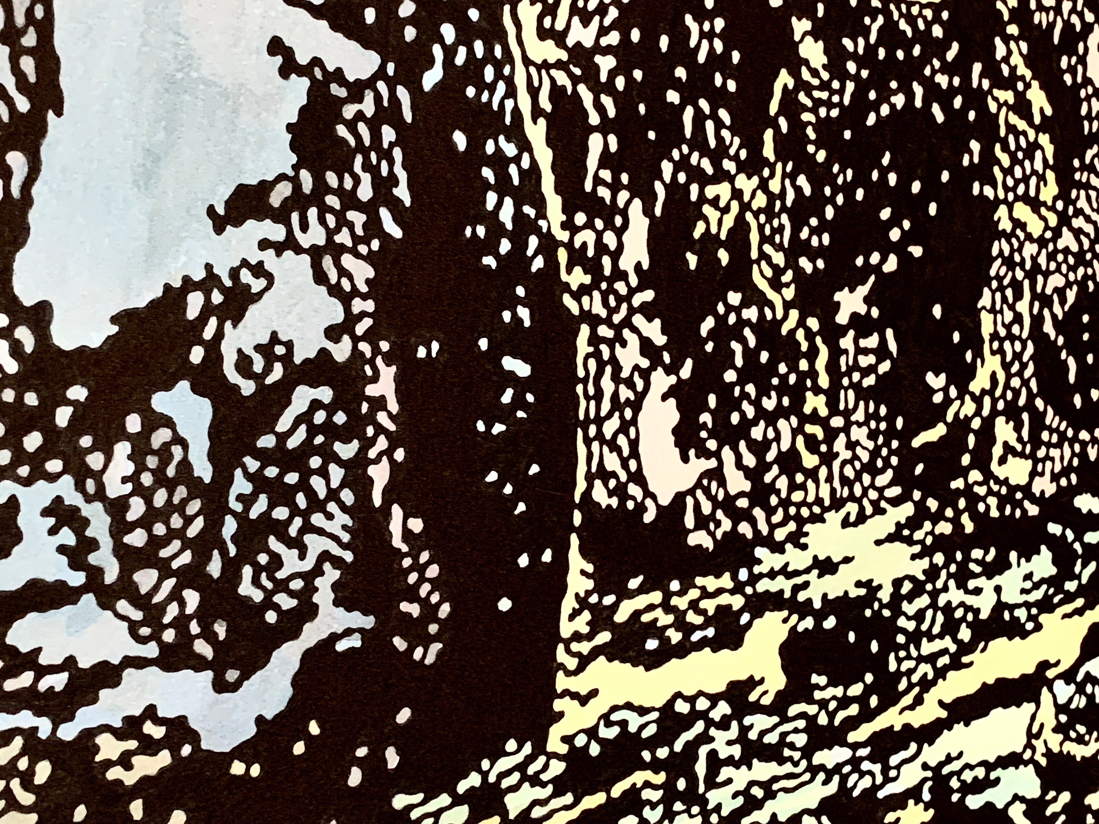 Murat Cem Mengüç "Cove" 2019