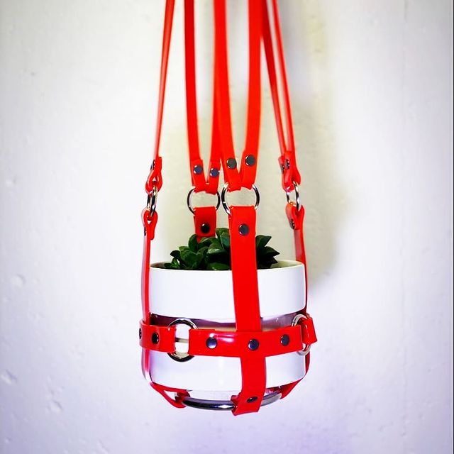 Puritan Candy "Vegan Basic Bitch" Red & Black Ring Plant Harness