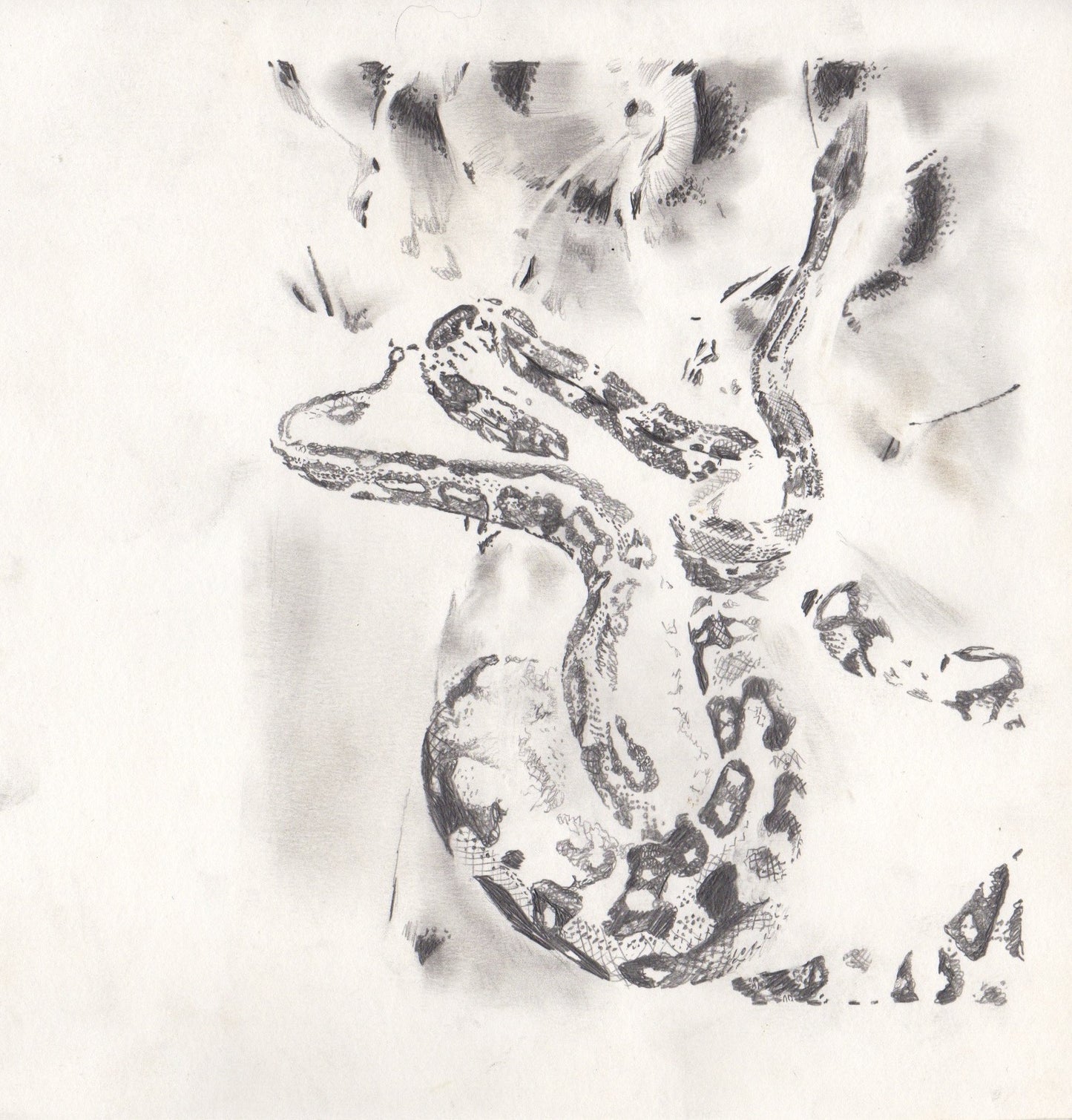 Jake Hout "Altar de Fey: Snake #1" Drawing