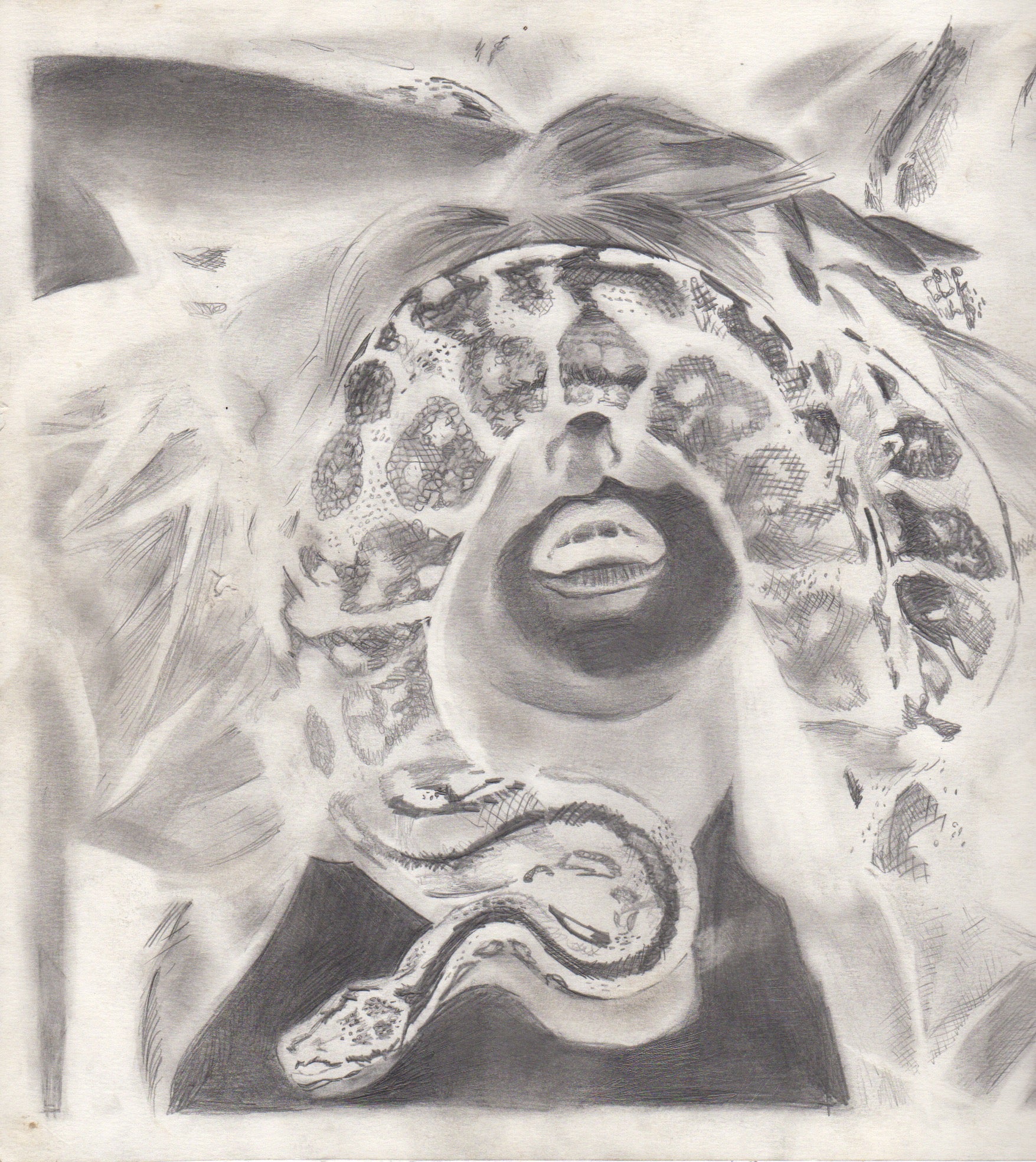 Jake Hout "Altar de Fey: Snake #2" Drawing