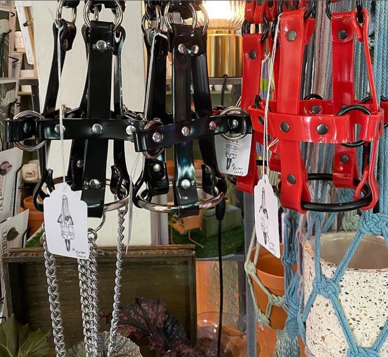 Puritan Candy "Vegan Basic Bitch" Red & Black Ring Plant Harness