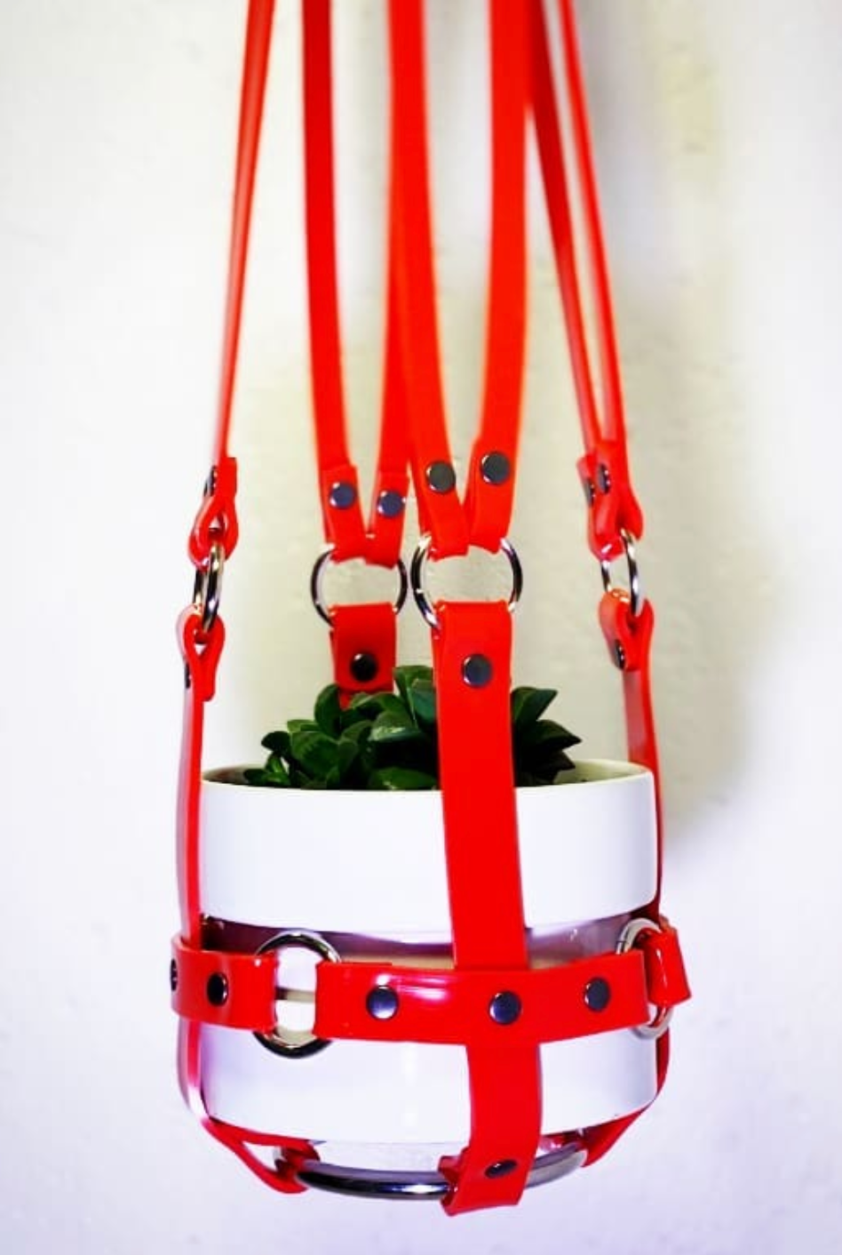 Puritan Candy "Vegan Basic Bitch" Red & Nickel Ring Plant Harness