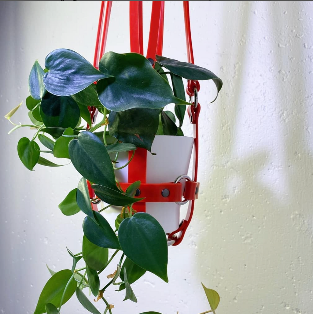 Puritan Candy "Vegan Basic Bitch" Red & Nickel Ring Plant Harness