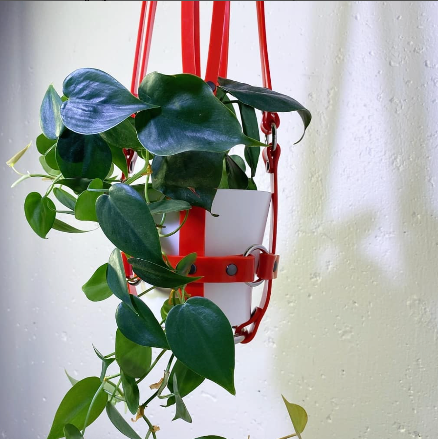 Puritan Candy "Vegan Basic Bitch" Red & Nickel Ring Plant Harness