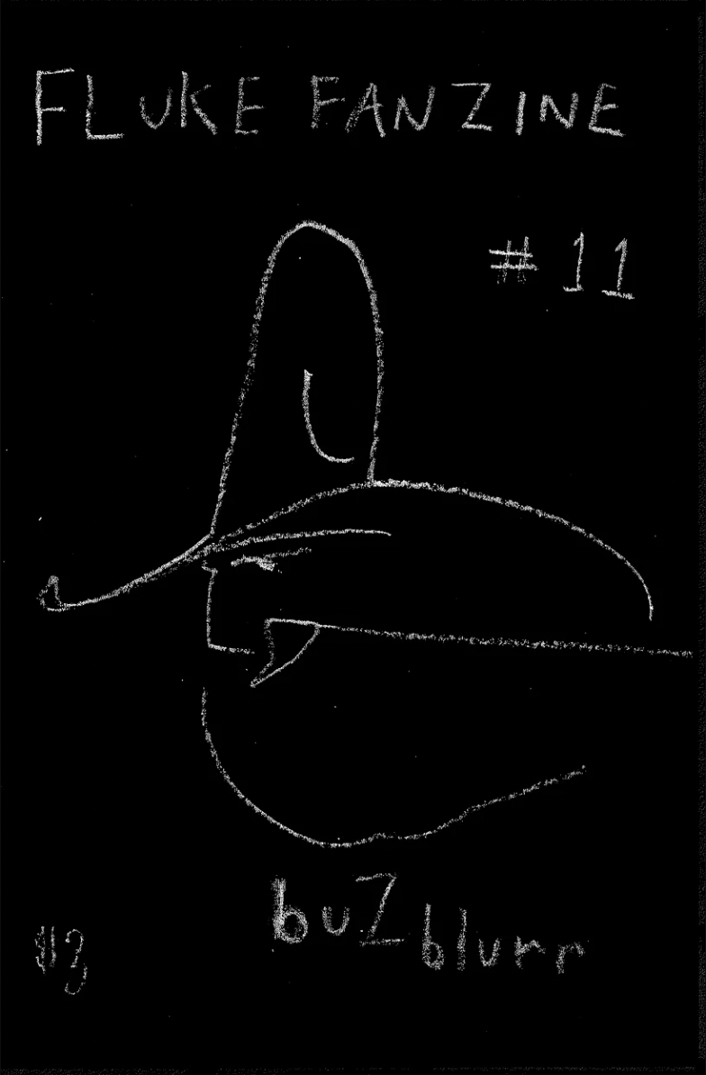 FLUKE #11 Zine