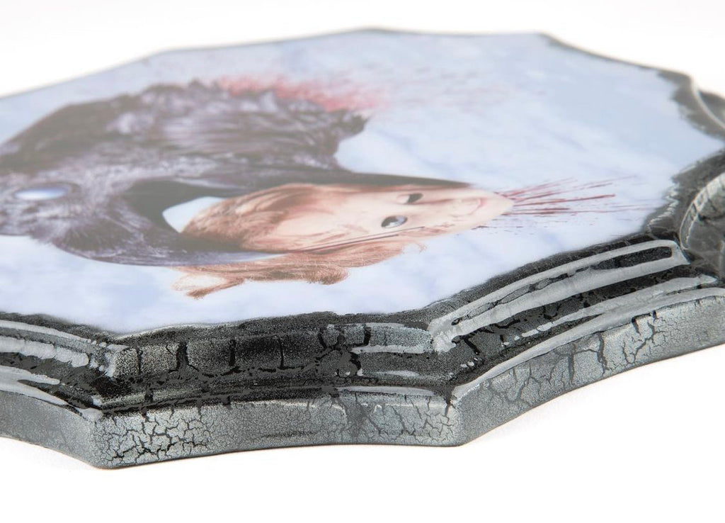 Kristen Grundy "In The Blink of A Nictitating Eye" Antique Photo Plaque