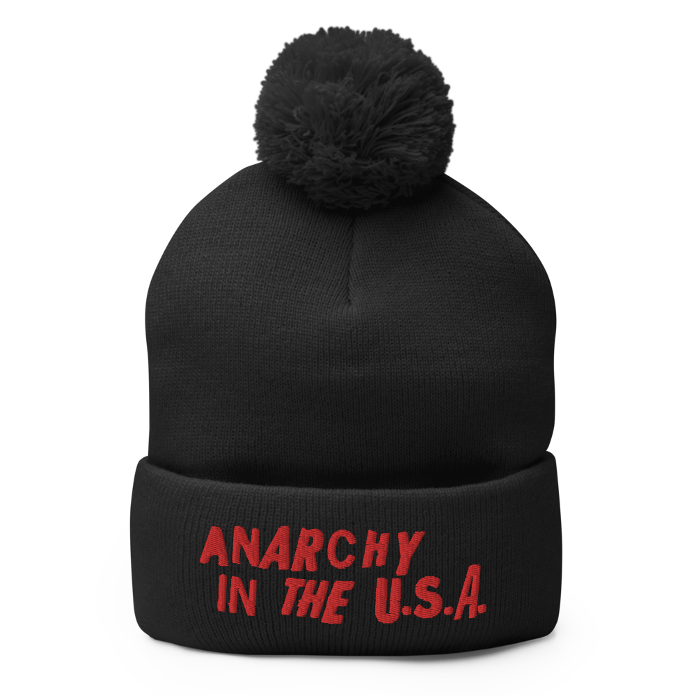 Stealworks "Anarchy in the USA" Embroidered Beanie