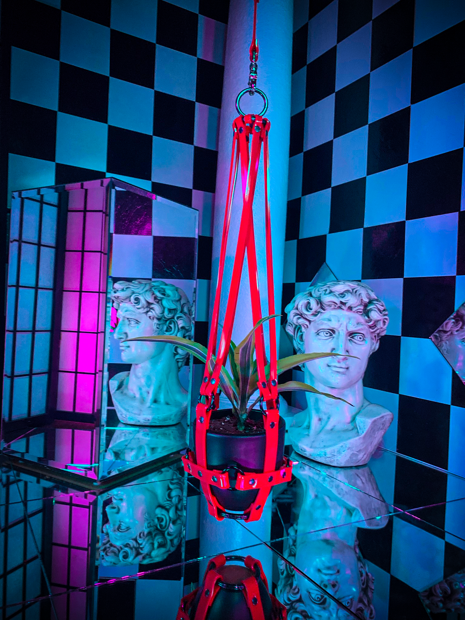 Puritan Candy "Vegan Basic Bitch" Red & Black Ring Plant Harness